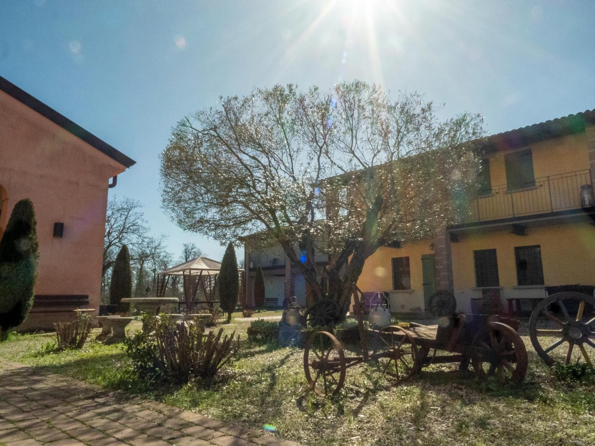 Agriturismo Borgo Del Mincio 沃尔塔曼托瓦纳 外观 照片